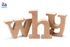 câu hỏi why