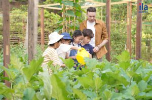 5 mô hình trại hè 2025 cho bé thỏa thích khám phá