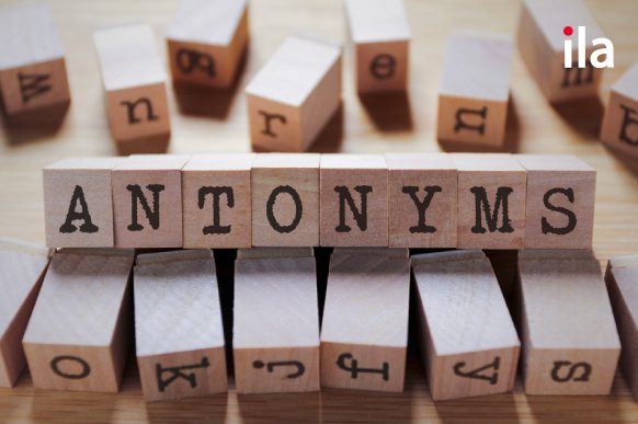 antonyms là gì