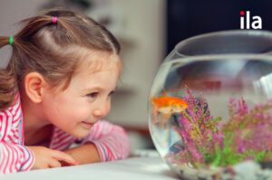 9 cách dạy bé nhận biết các con vật