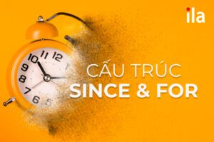 cấu trúc since và for