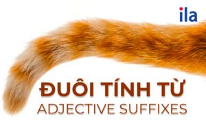 Đuôi tính từ (adjective suffixes)