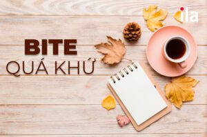 quá khứ của bite