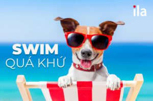 quá khứ của swim