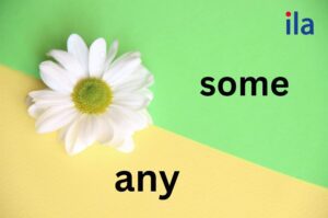 Cách dùng some và any - Mở rộng và thực hành