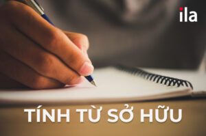 Tính từ sở hữu (possessive adjective)