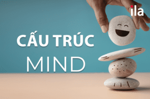 Cấu trúc mind.