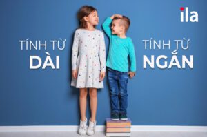tính từ ngắn và tính từ dài