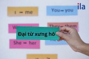 Đại từ xưng hô: Kiến thức cơ bản cho mọi trình độ