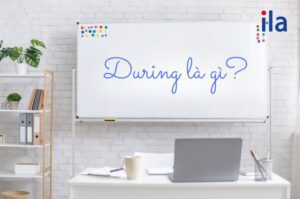 During là gì và cách dùng sao cho đúng?