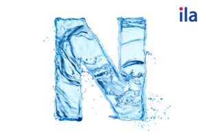 100+ từ tiếng Anh bắt đầu bằng chữ n thông dụng nhất