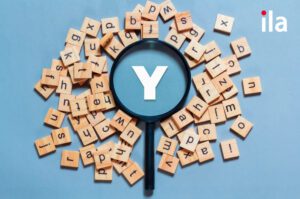 50+ từ vựng tiếng Anh phổ biến nhất bắt đầu bằng chữ Y