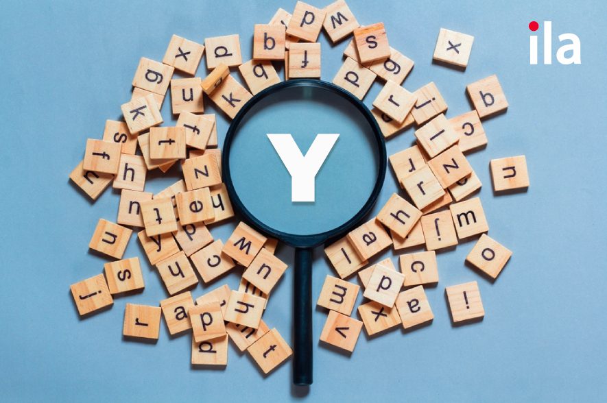 50+ từ vựng tiếng Anh phổ biến nhất bắt đầu bằng chữ Y