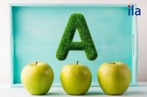 Từ tiếng Anh bắt đầu bằng chữ A theo chủ đề thông dụng