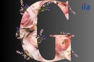 Từ tiếng Anh bắt đầu bằng chữ G theo chủ đề dễ thuộc