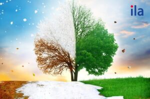 5 phút diễn đạt mượt mà về chủ đề các mùa trong tiếng Anh