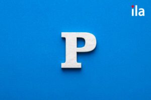 50+ từ vựng tiếng Anh bắt đầu bằng chữ P