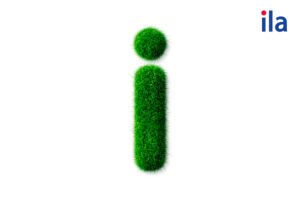 Từ tiếng Anh bắt đầu bằng chữ i: Danh sách 100+ từ phổ biến