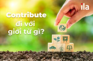 Contribute đi với giới từ gì? Contribute to Ving hay to V?
