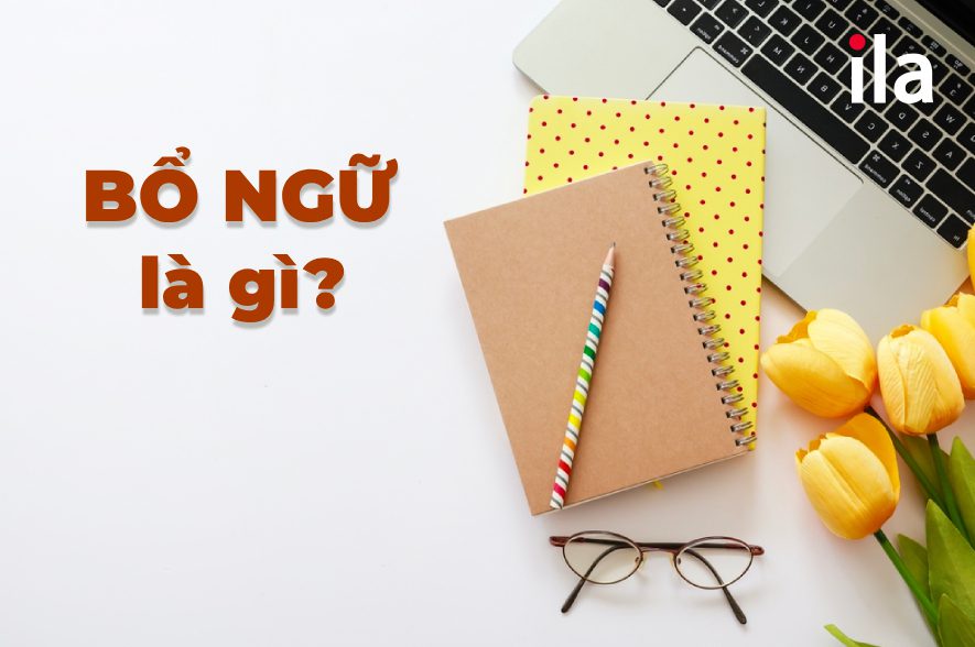 Bổ ngữ là gì? Các loại bổ ngữ thường gặp trong tiếng Anh