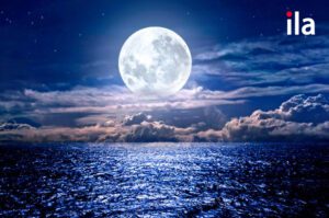 Over the moon là gì?