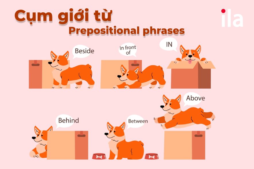 Preposition phrase (Cụm giới từ)