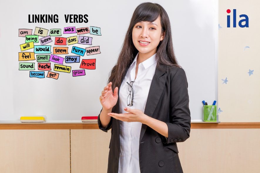 Linking verb là gì trong tiếng Anh?