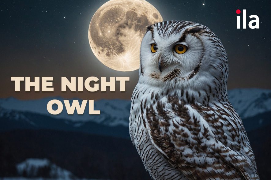 The night owl là gì? Từ đồng nghĩa và cách sử dụng chi tiết!