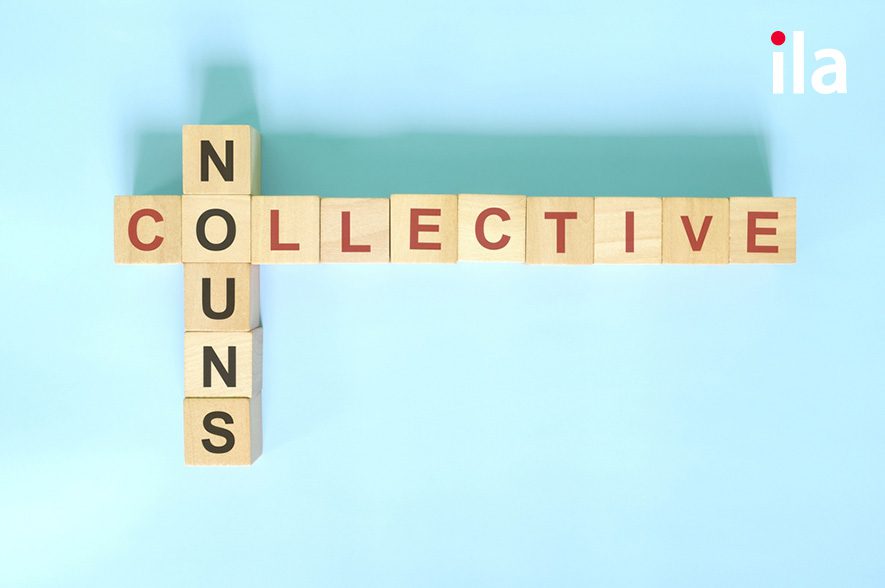 Danh từ tập hợp (collective noun): Cách dùng & bài tập