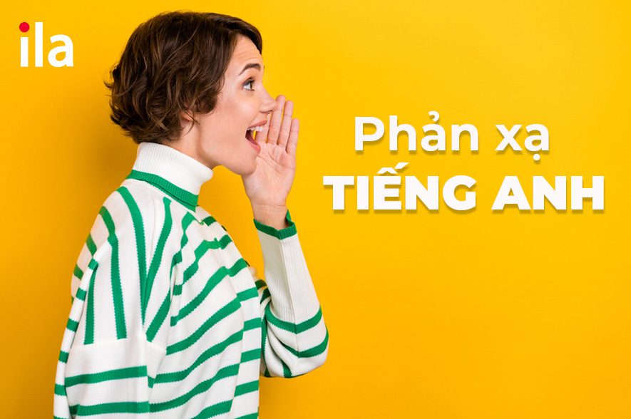 phản xạ tiếng anh