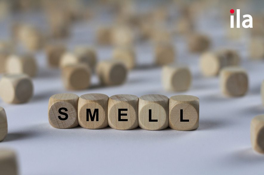 Smell là gì? Tìm hiểu về ý nghĩa và cách sử dụng