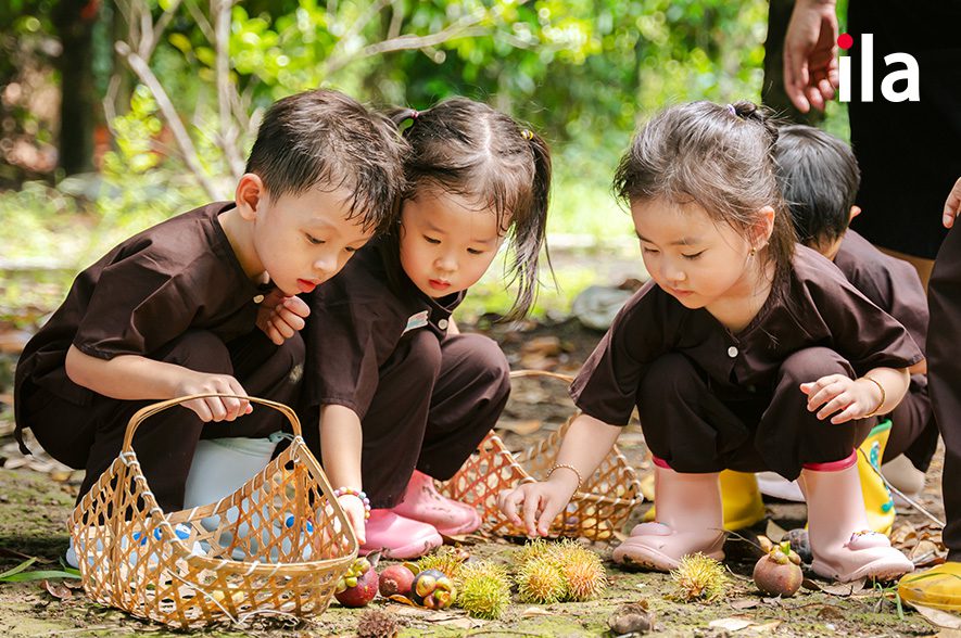 Các chủ đề trong chương trình giáo dục mầm non