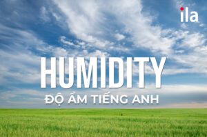 Độ ẩm tiếng Anh là humidity