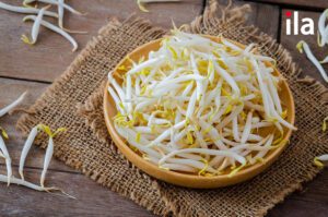 Giá đỗ trong tiếng Anh là gì? Phân biệt các loại rau mầm phổ biến