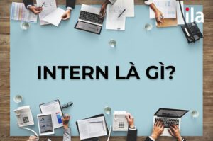 Intern là gì? Intern, fresher và trainee có gì khác biệt?