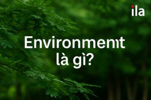 Environment là gì? Từ loại, cách dùng & 30 từ vựng chủ đề môi trường dễ nhớ