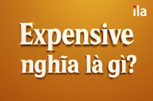 Expensive nghĩa là gì? Cách dùng, so sánh hơn và nhất, ví dụ