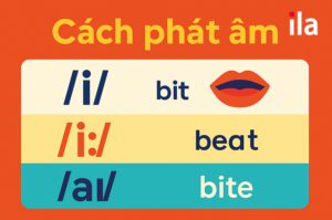 Cách phát âm i /i/, /i:/, /aɪ/ trong tiếng Anh kèm ví dụ & bài tập