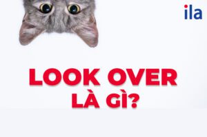 Look over là gì? Phân biệt Look over và Look out over siêu dễ hiểu