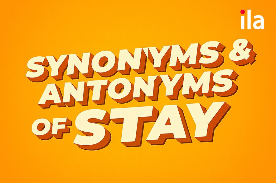 Các từ đồng nghĩa/trái nghĩa của Stay
