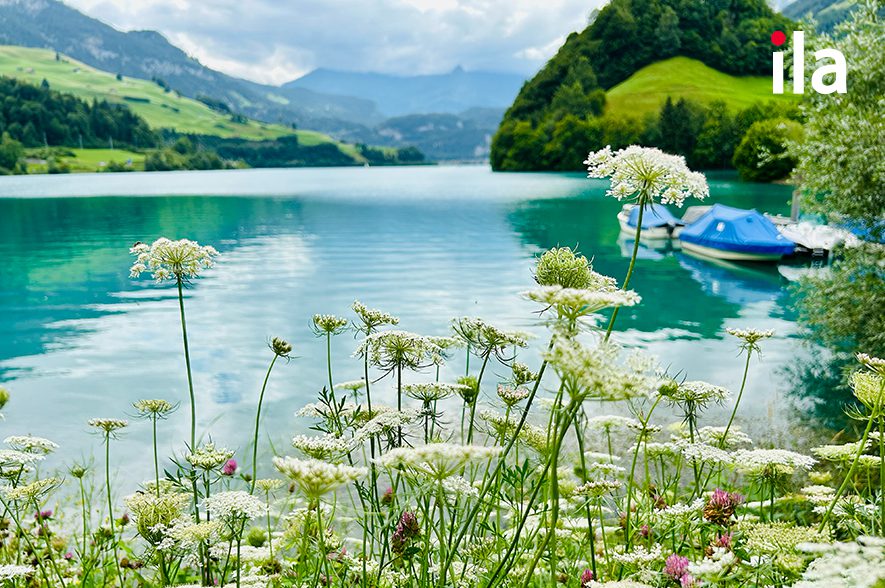 Cấu trúc câu thường dùng