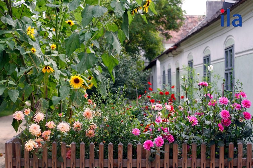 Dàn ý đoạn văn nâng cao viết về ngôi trường bằng tiếng Anh lớp 5 ngắn gọn