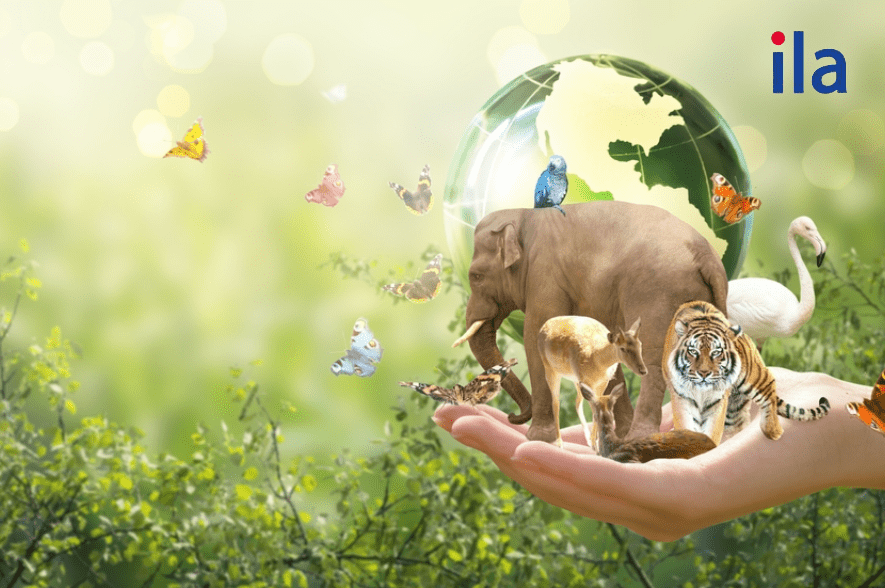 đề thi tiếng Anh giữa kì 2 lớp 8