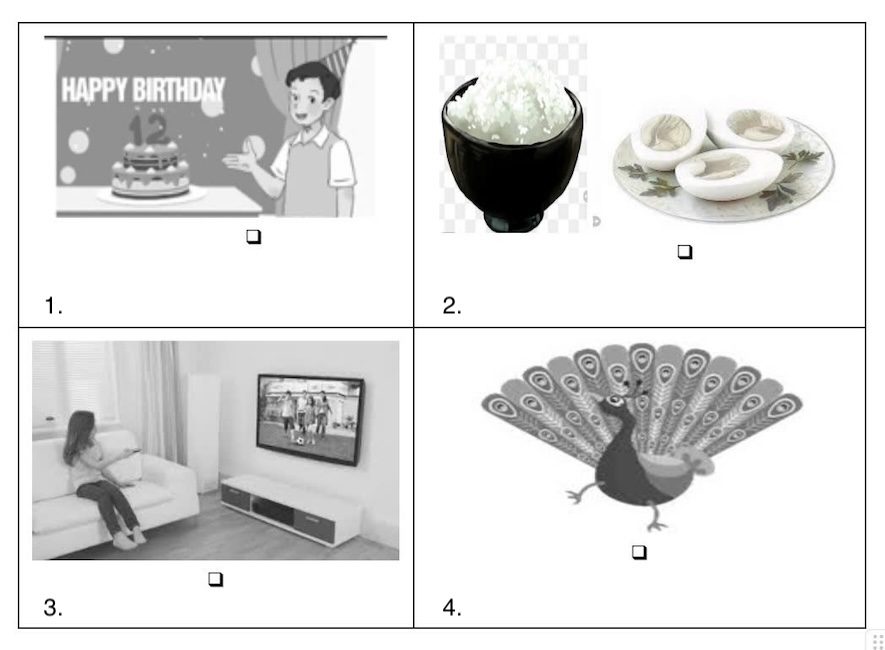 Listen and write Y (Yes) or N (No)