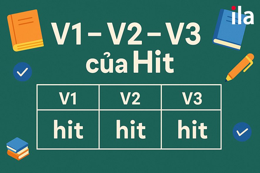 V1-V2-V3 của hit
