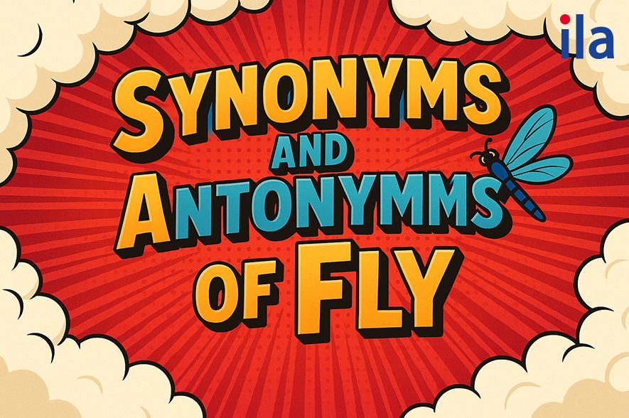 Từ đồng nghĩa và trái nghĩa của Fly