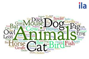 Tên động vật tiếng Anh: Trọn bộ từ vựng từ cơ bản đến nâng cao