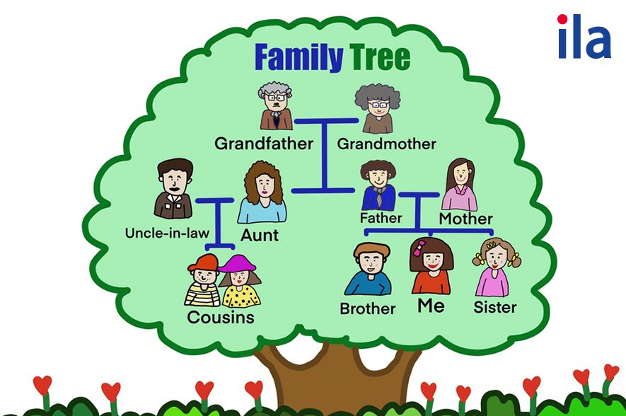 học thuộc từ vựng tiếng Anh số lượng lớn theo chủ đề