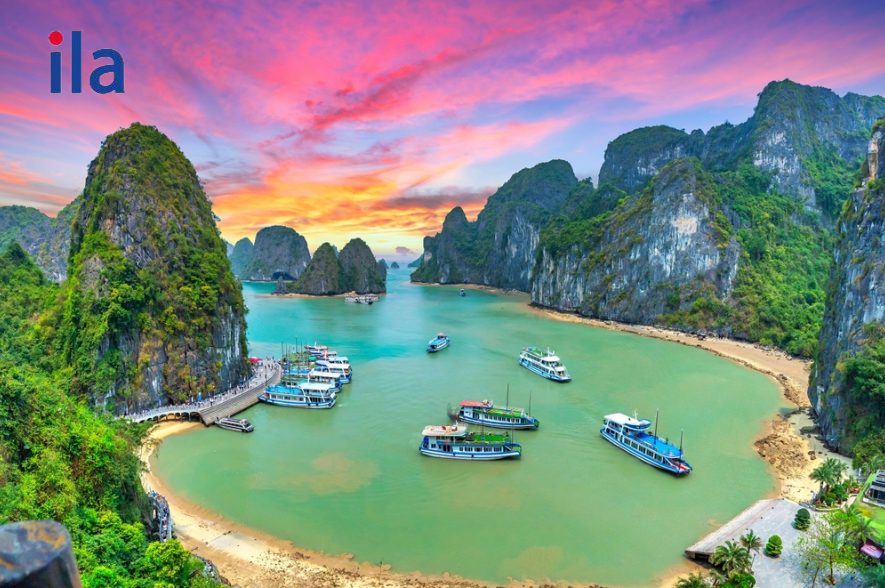 Từ vựng unit 6 lớp 11 Global Success - Khám phá và bảo tồn di sản