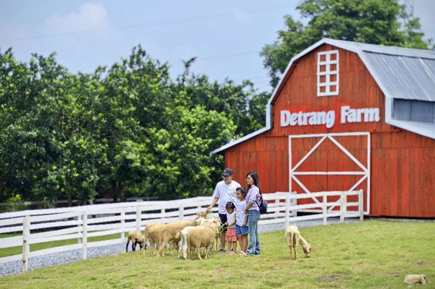 Nông trại Detrang Farm